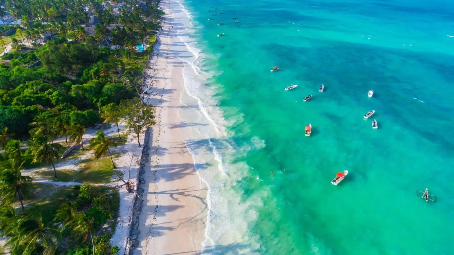 Zanzibar coastline